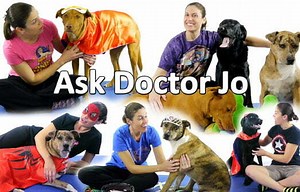 About Me - Ask Doctor Jo