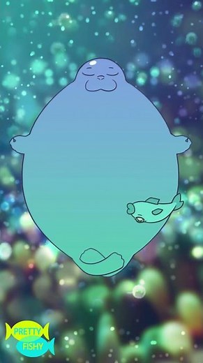 Spirit Seal Zen - Time