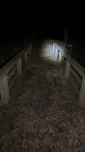オカルト中継班！ 守谷城址公園 ライブ ハイライト #怖い話 #怪現象 #horror #都市伝説 #恐怖 #都市伝説 #ホラー