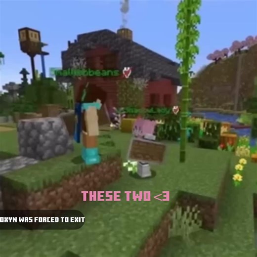 #smallishbeans || WILD LIFE JIZZIE EDIT || #jizzie #joelsmallishbeans #wildlifesmp #wildlifesmpedit #congratsjoelforwinning #lifeseries #lifeseriessmp #ldshadowlady #ldshadowladyedit #smallishbeansedit #lifeseriesedit #lifeseriesmpedit #lifeseriesmembers #shadowbeans #shadowbeansedit #jizzieedit