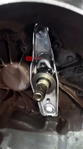 Comprehensive clutch replacement ✅