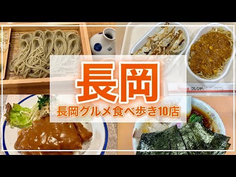 【長岡ひとり旅】念願の青島食堂に感動❤️長岡のB級グルメを堪能。とにかくお米がメチャクチャ美味かった〜！ Niigata nagaoka travel