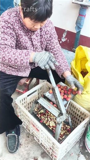 DIY Hawthorn Slicer — Simple Tool, High Efficiency