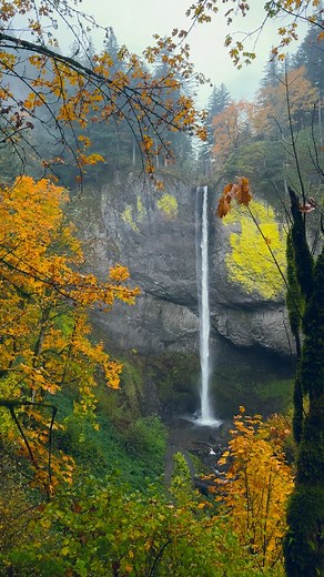 64K views · 4.6K reactions | The waterfalls of Oregons Columbia River Gorge transform into a spectacle of magnificent beauty as autumn colors embrace the landscape. Pacific Northwest  @izak.photography #beautifuldestinations #pnw #nature #pacificnorthwest #waterfalls #pnwexplored #forest #waterfalllovers #discoverearth #divineforest #pnwphotographer #pnwwonderland #pnwadventures #pnwcollective #pnwhiking #pnwphotography #pnwlife | Izak Photography | Facebook