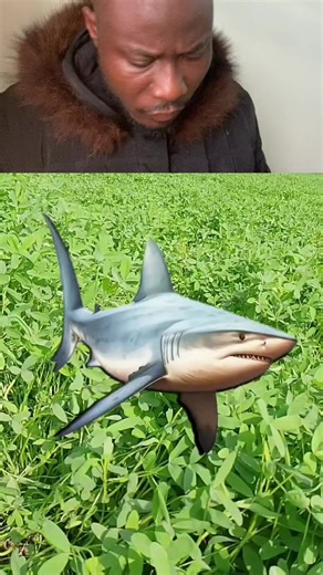 The Ultimate Game Challenge: Can You Match This Picture?