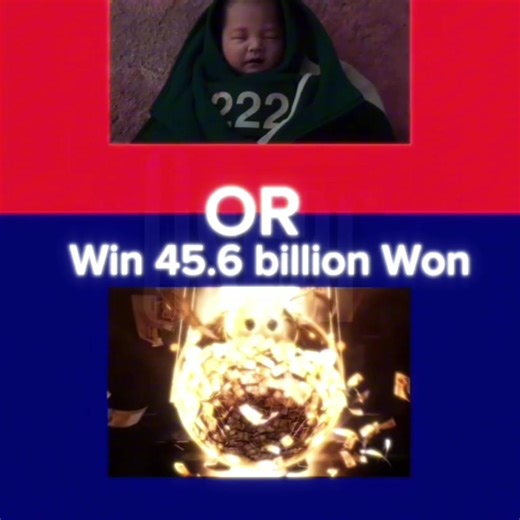 Mango Enthusiasts Unite: Exploring Mango Varieties