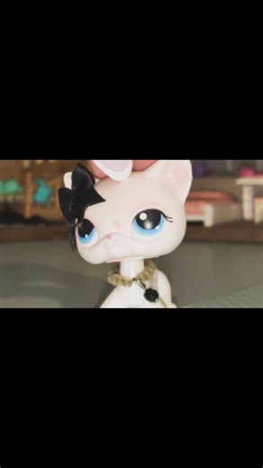“Pls don’t be in love with someone else” - Jules #fyp #lps #lpstransition #lpsshorthaircat #lpscollection