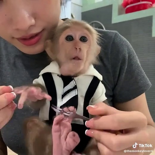 Mom Teaches Monkey Mynu Potty Training | Funny Animal Video