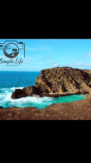 Explore Nature and Wildlife Through My Photography