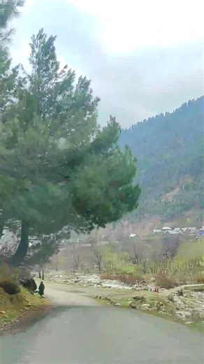 3.8K views · 112 reactions | Beautiful kashmir | My Kashmir | Facebook