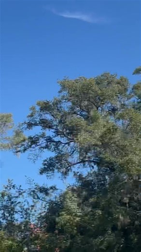 John-l Sullivan on Reels