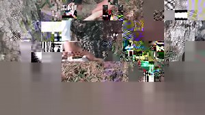 66K views · 481 reactions | Meet the people who take care of the two million trees in Singapore’s public places. | CNA | Facebook