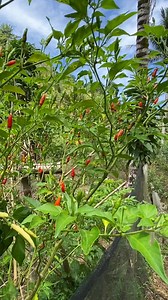 386K views · 10K reactions | Behind the scenes | Kamata mo Blog | Facebook