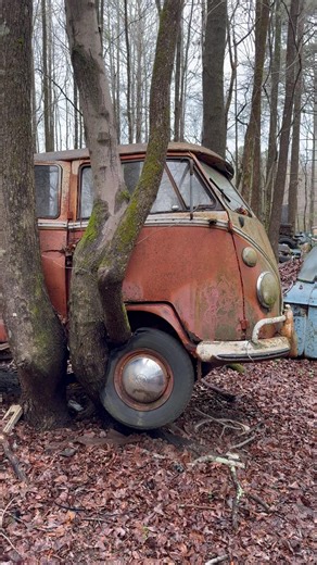 ABANDONED SPLIT SCREEN VW #automobile #automotive #vw #camper #urbex #abandoned #explore #classic