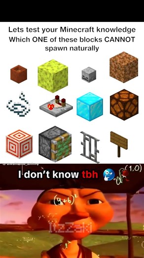 Which one do YOU think it is ? 👀🤷 #minecraft #shorts
