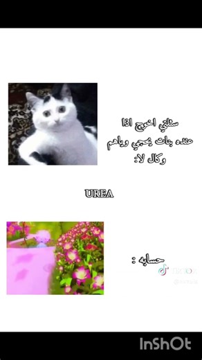 #اكسبلور، #عرب، #لايك، #صور، #تصميم، #ضحك، #فولو، #انستقرام، #هاشتاقات، #مشاهير.بالإنجليزية: #Love,