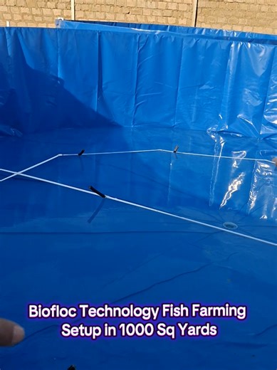 Biofloc Technology for Fish Farming Setup in 1000 Sq Yards