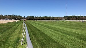 Despite carrying 124 pounds — 4-to-8 more than her eight rivals — 5-year-old mare Paper Mansion wins the third race in gate-to-wire style for her third consecutive victory in the Fillies and Mares Division of the Tampa Turf Test, this time at the taxing distance of 1 1/8-mile. She has won five races in a row and is 10-for-22 lifetime. Kevin Gomez rode Paper Mansion for owners Jagger Inc. and Longball Stables and trainer Jamie Ness. | Tampa Bay Downs, Inc.