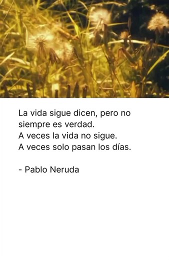 Pablo Neruda✍🏽 #poesia #poemas #pabloneruda #itmotiva #duelo poemas de duelo