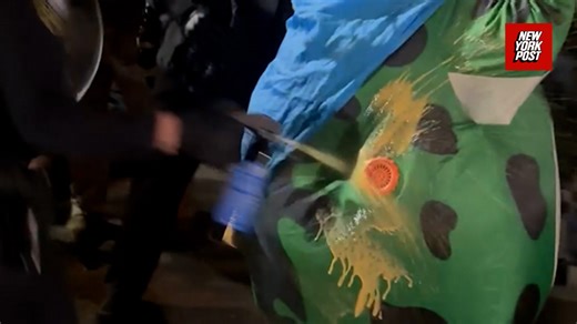 ICE agents shoot pepper spray into protester's frog costume air vent