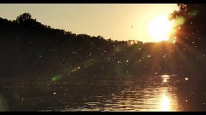 6.3K views · 189 reactions | România neîmblânzită – Un film unic, din...