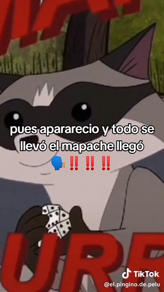 El mapache llegó: meme y series divertidas