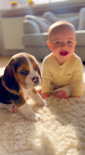 Baby Giggling at Puppy’s Silly Sneezes 🐶😂