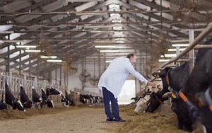 Godrej Agrovet | Animal Feed | Cattle Feed manufacturer | Pashu Aahar