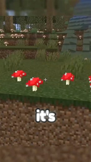 DON’T go to the swamp in Minecraft 26.4