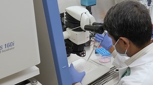 A Three-dimensional Thymic Culture System to Generate Murine Induced Pluripotent Stem Cell-derived Tumor Antigen-specific Thymic Emigrants