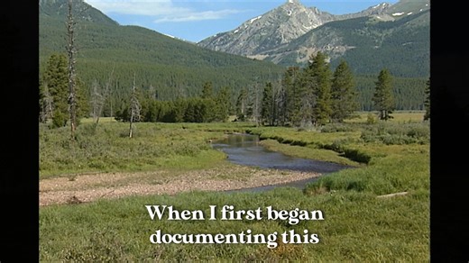 2.6K views · 47 reactions | When Nick Mollé began filming Rocky...