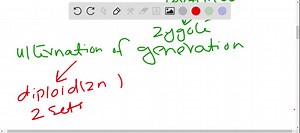 SOLVED:Compare and contrast the colonial and filamentous cyanobacteria with respect to life cycle and means of nitrogen fixation.