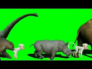 The Stampede Green Screen