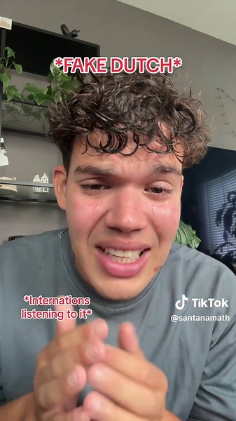 How Dutch Sounds to Dutch Non-Speakers? Insights and Reactions