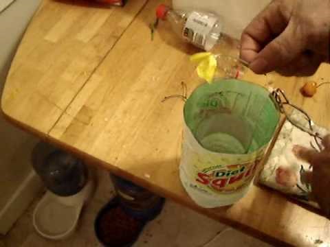 Poor man's "Liquid Nitrogen"