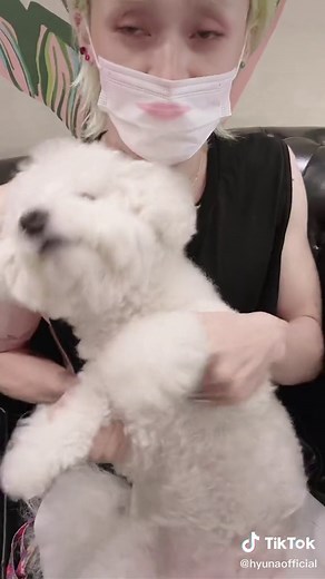 #PingPongChallenge 여러분의 PING PONG 댄스를 보여주세요💖 #현아던 #HyunAandDAWN @dawn.official