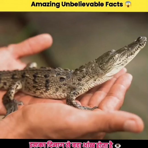 Experiment गुरुजी Top 3 Amazing Facts #experiment_गुरुजी #experiment_guruji #expwriment_गुरुजी #trendingreels #experimentguruji #reelsinstagram #amazingfactshindi #explorepage #interstingfacts #quotes #facts #factsdaily | Fact Akz