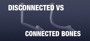 Connected vs Disconnected Bones