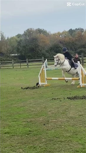 Jumpy #horse