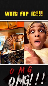 Title: "Cat vs. Toaster: Hilarious Mouse Chase!" Description: Watch this hilarious clip of a cat trying to get a mouse out of the toaster! #CatVsMouse #ToasterTroubles #HilariousClips #FunnyPets #Entertainment #NotWorthItToTheCreator #10MoreCash #ComedyGold #CatAntics #MouseChase #LaughOutLoud #TikTokFunny #CatVideos | Marleen Twin Shaffer