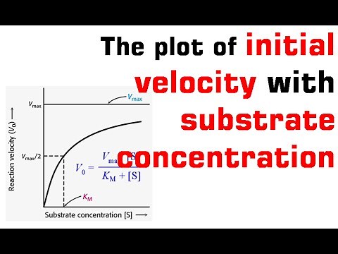 Michaelis menten plot and equation