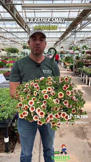The secret to keeping your hanging baskets looking amazing all season long!🌸 #smithsgardentown #hangingbasketcare #gardening101 #porchpots #hangingbaskets #gardeningtipsandtricks #hangingbasket #gardeningsecret