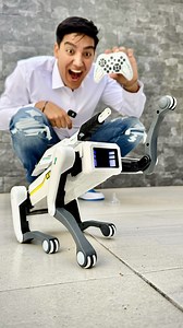 Este perro robot hace lo que le pidas | Ah Barbaro