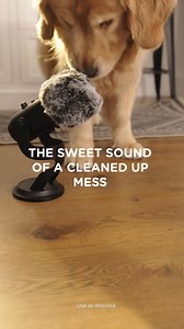 4K reactions · 90 shares | Pet messes happen, and when they do, respond with the #1 pet mess cleaner. Try Resolve today. | Resolve | Facebook