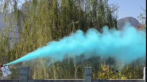 SRG Gender Reveal Fire Extinguisher Color Blaster | 2 Packs Baby Girl Pink Gender Reveal Extinguisher Smoke | Powder for Gender Reveal Decorations & Ideas（Pink）