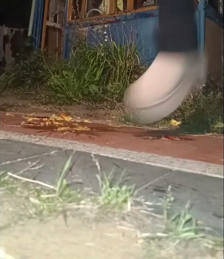 asmr crushing a peach whit uggs #shoes #satisfying #uggs #crushing #trampling #boots