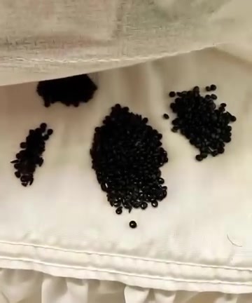 8.2K views · 12 reactions | I found this under my mattress—at first I...