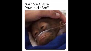 Get Me A Blue Powerade Bro | Know Your Meme