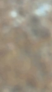 1.7K views · 221 reactions | Mehandi Kalai Ke ❤️ @singhpawan999 @faujisandip_ #trending #viral #trendingreels #viralvideos #reelsinstagram #happyholi | Fauji Sandip | Facebook