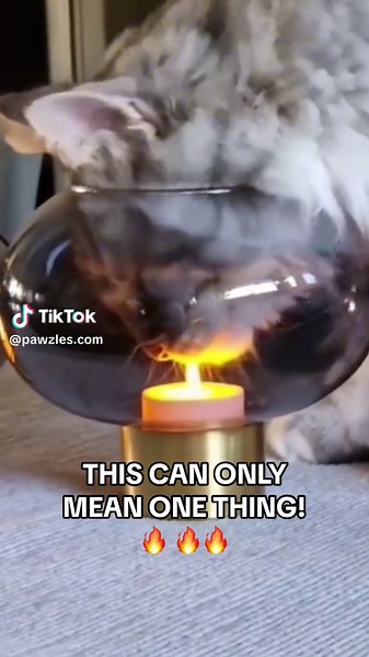 I know a bender when i see one! #avatarthelastairbender #avatar #zuko #firebender